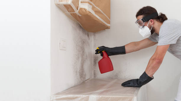 Professional Mold Removal technician working in Clarksburg, MD