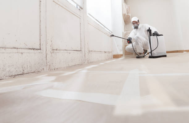 24/7 Emergency Mold Removal experts in Clarksburg, MD