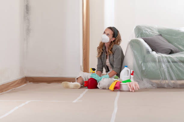 Reliable Mold Removal contractor in Clarksburg, MD by 24 Hour Mold Removal